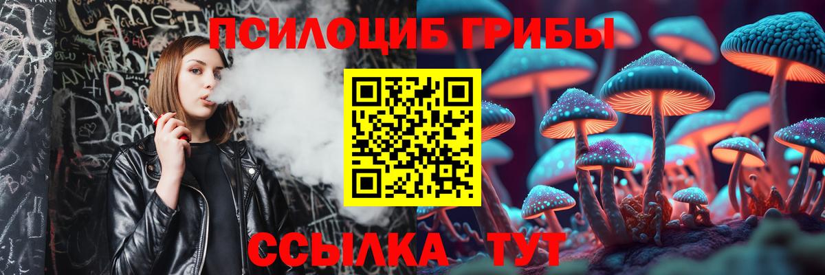 Галлюциногенные грибы MAGIC MUSHROOMS  цена   Дзержинск  Вход с VPN 
